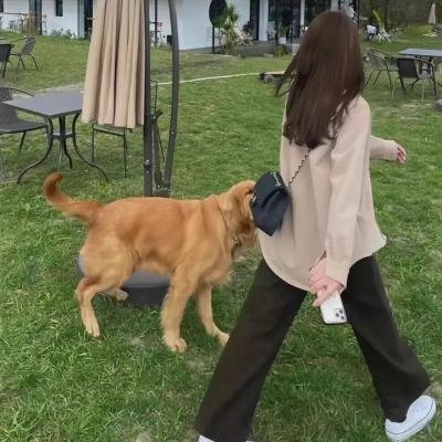 心急吃不了热豆腐