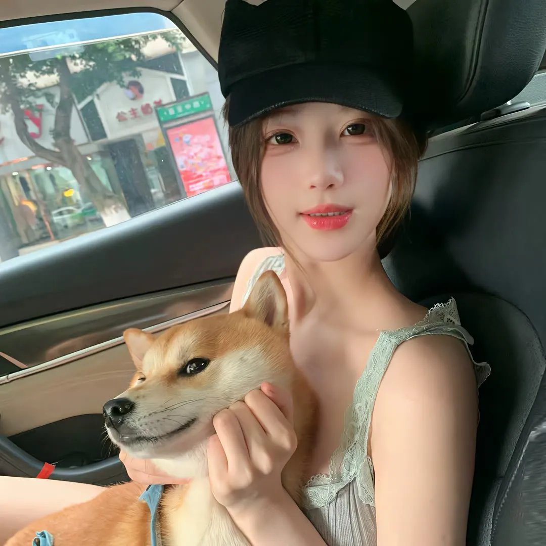 淑女鸟